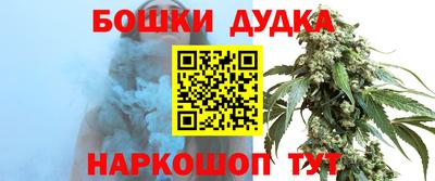 МДПВ Славгород