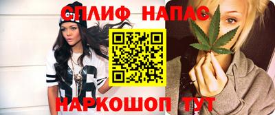 наркотики Сланцы