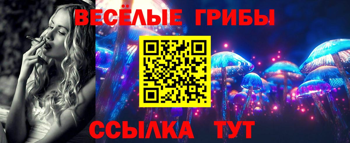 Псилоцибиновые грибы GOLDEN TEACHER Светлоград