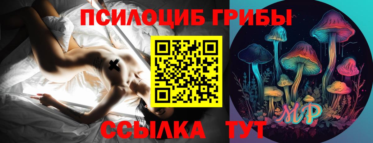 дарнет шоп  Вход с VPN  Светлоград  Галлюциногенные грибы Psilocybine cubensis  Галлюциногенные грибы MAGIC MUSHROOMS 